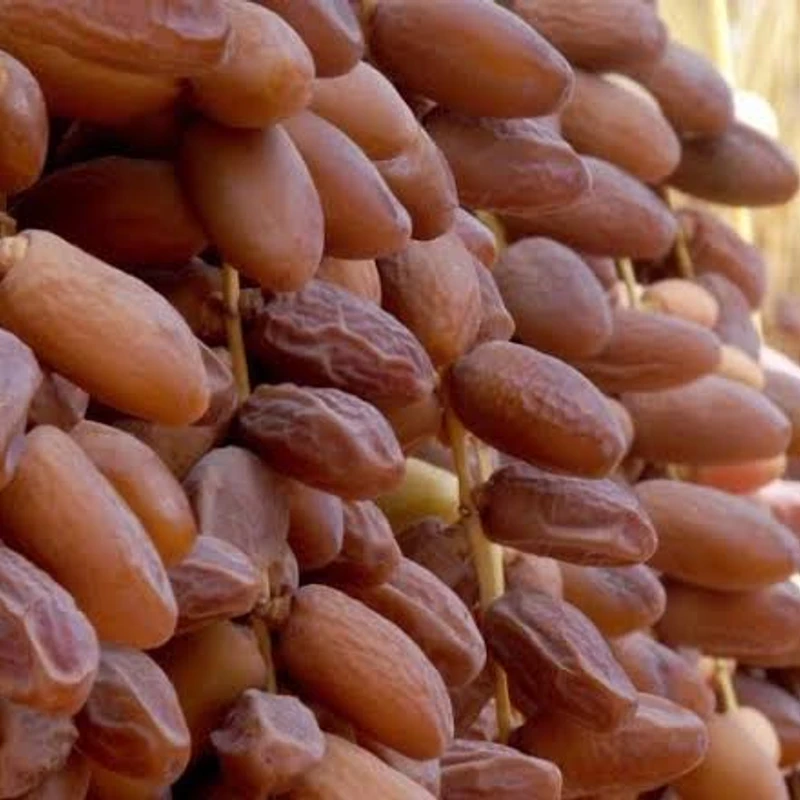 KHEJUR/DATES - Image 6