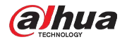 Dahua technology 