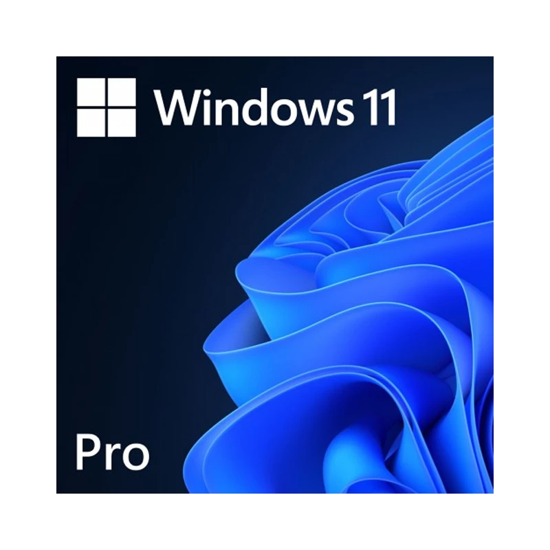 Microsoft Windows 11 Professional