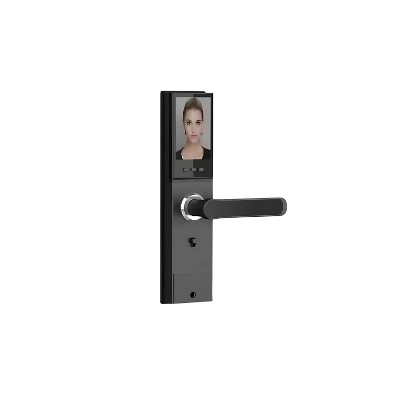 SmartLife T1 Pro Smart Door Lock with 3D Face Recognition