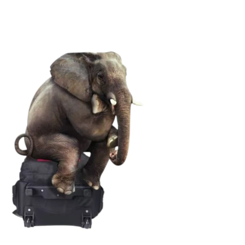 AOKING school trolley bag - Image 6