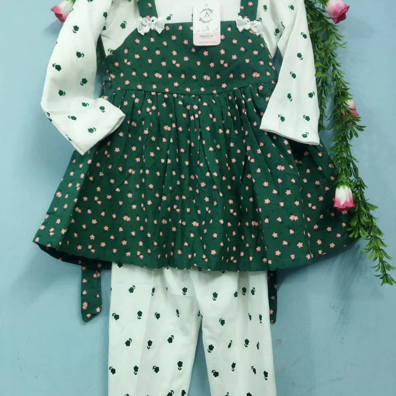 উইন্টার ফ্রক ১৬১৮২০