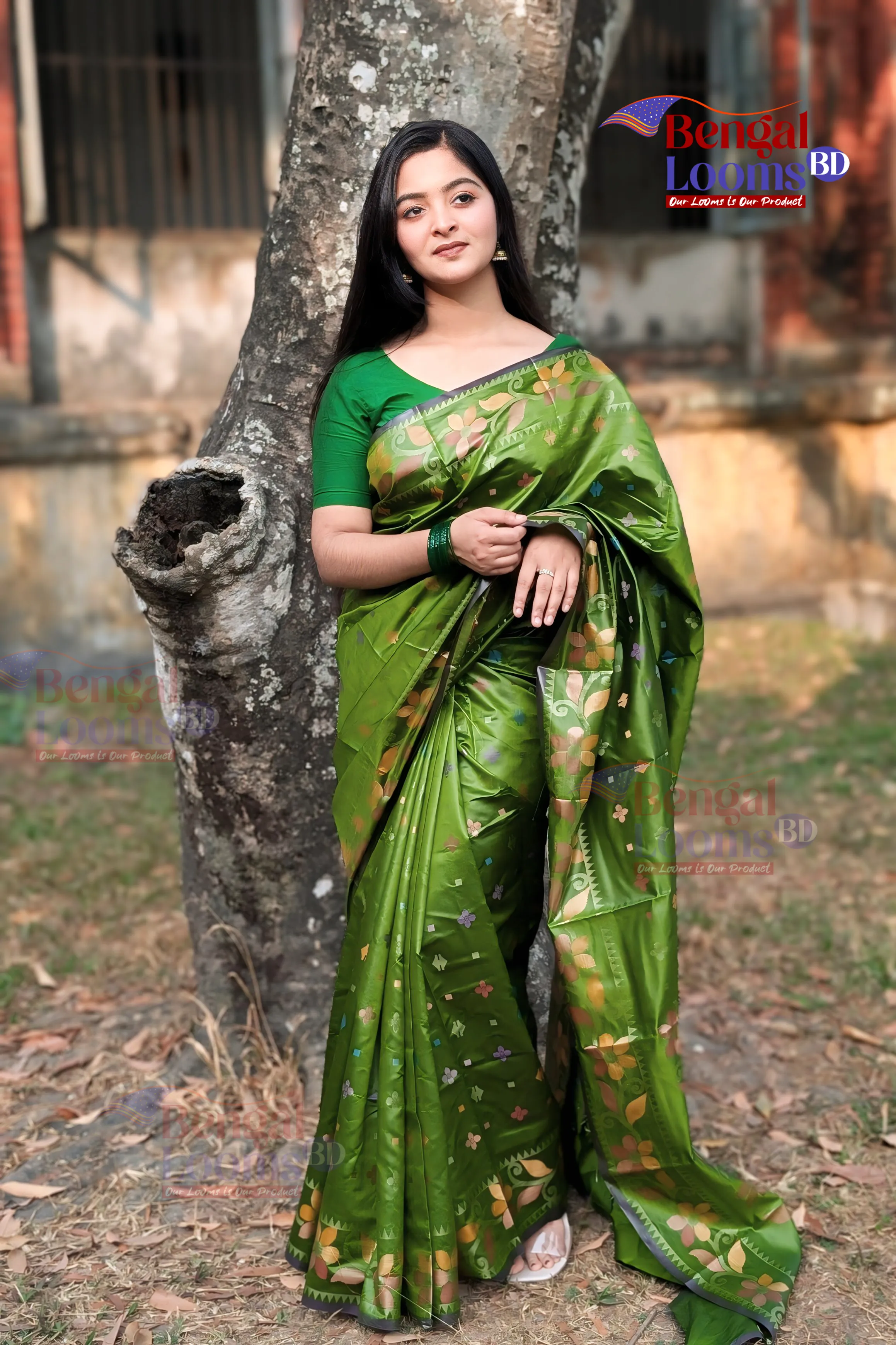 Olive Katan Silk Saree