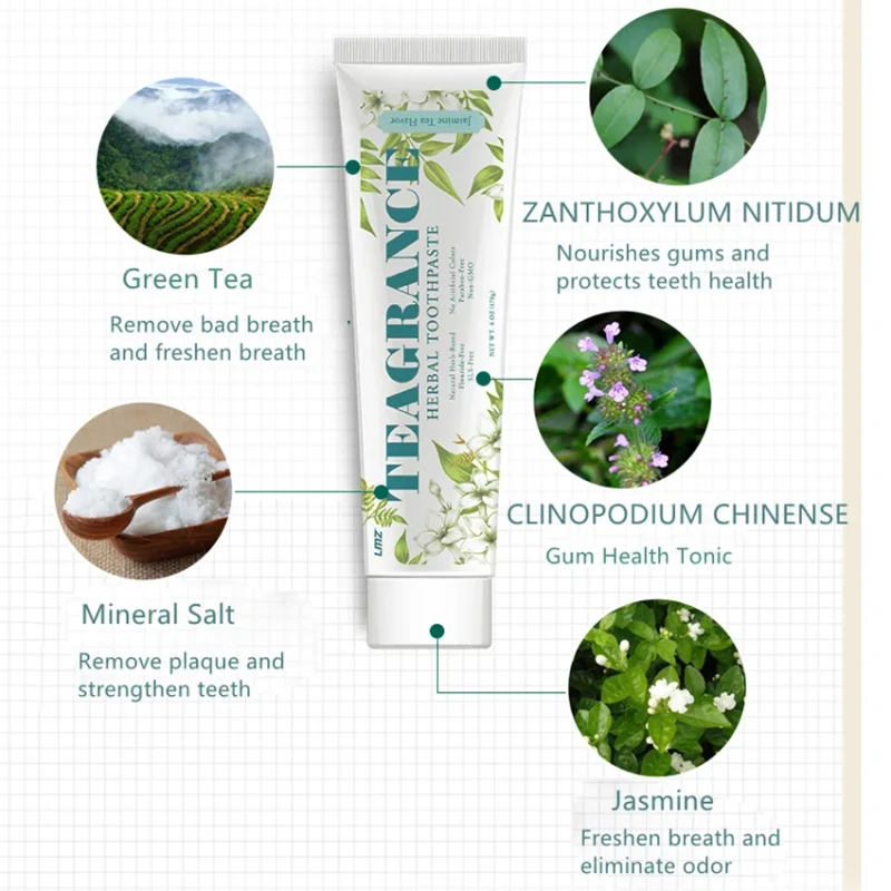 Teagrance&Dr.gingiva Herbal Toothpaste