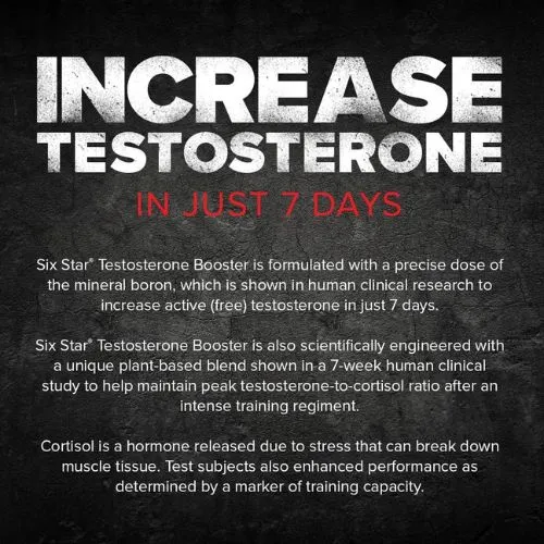 Six Star Testosterone Booster 60 Tablets in Bangladesh (Made in the USA) - Thumbnail 4