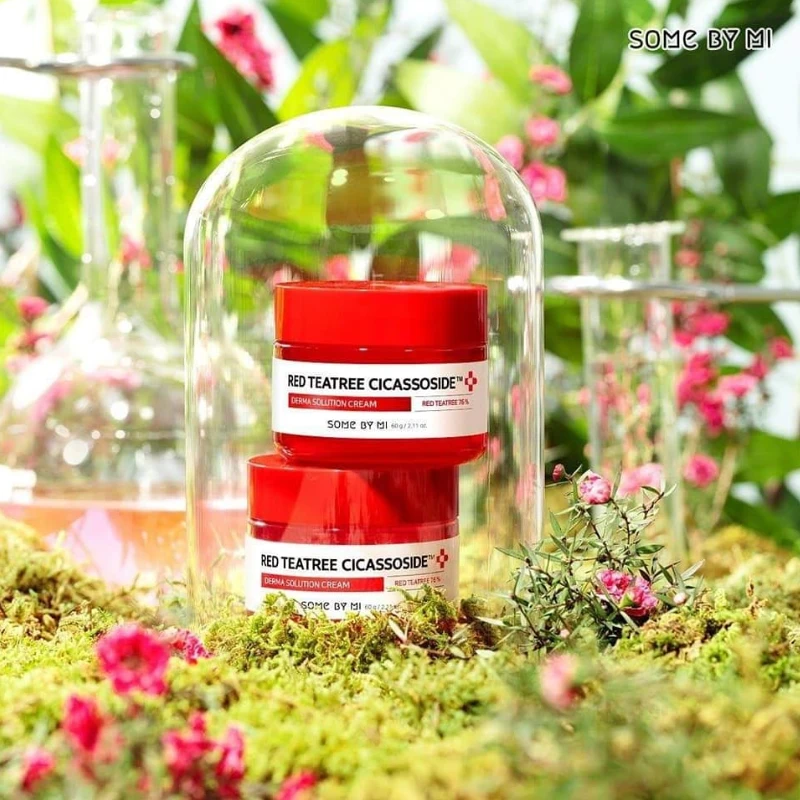 Some by mi red tea Tree Cicassoside Derma Solution Cream - 60gm