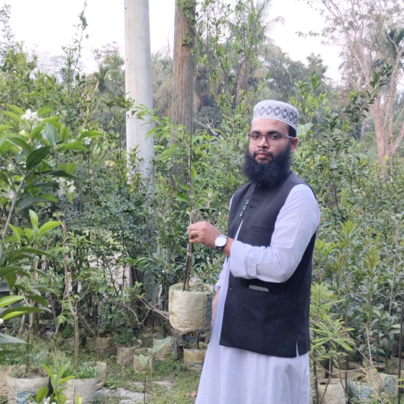 🌿 উচ্চ ফলনশীল স্বাস্থ্যকর আমলকী গাছ – ভিটামিন C-এর প্রাকৃতিক উৎস! 🍃✨