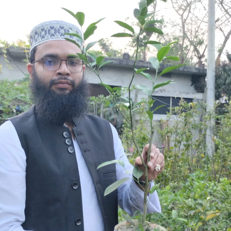 🌳 মুকুলসহ এলাচি লেবু গাছ (সুগন্ধী ও দ্রুত ফলনশীল)