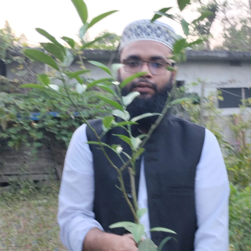 🌳 মুকুলসহ এলাচি লেবু গাছ (সুগন্ধী ও দ্রুত ফলনশীল)