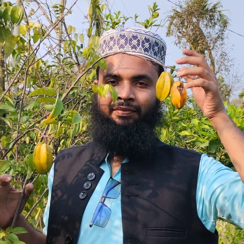 ফলসহ কামরাঙ্গা গাছের চারা – এক গাছে স্বাদ, পুষ্টি ও সৌন্দর্য! 🌿⭐