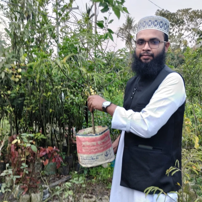 🌳 জ্যাক কাউ গাছ 🥭 (উন্নত জাত ও দ্রুত ফলনশীল)