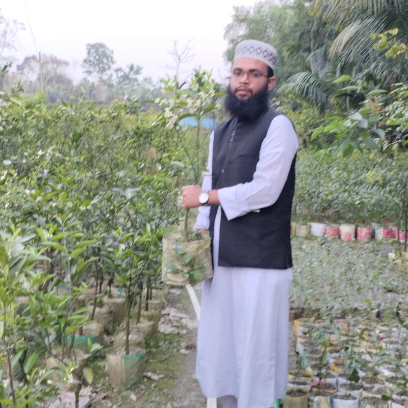 🌳 মুকুলসহ মালঠা গাছ (উন্নত জাত ও উচ্চফলনশীল) - Image 4