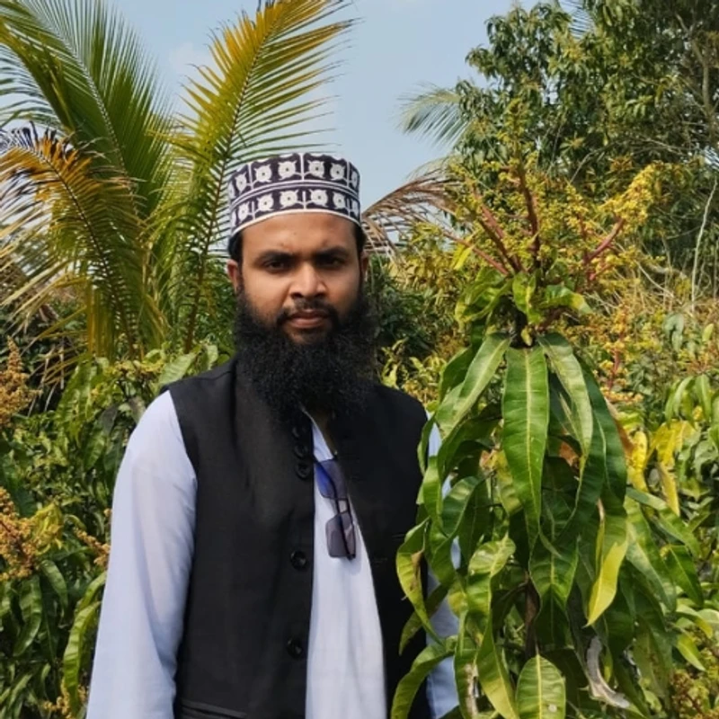 🥭মুকুলসহ পালমার আমগাছের চারা (উচ্চফলনশীল সুস্বাদু আমের গাছ)