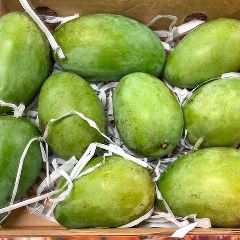 ল্যাংড়া আম