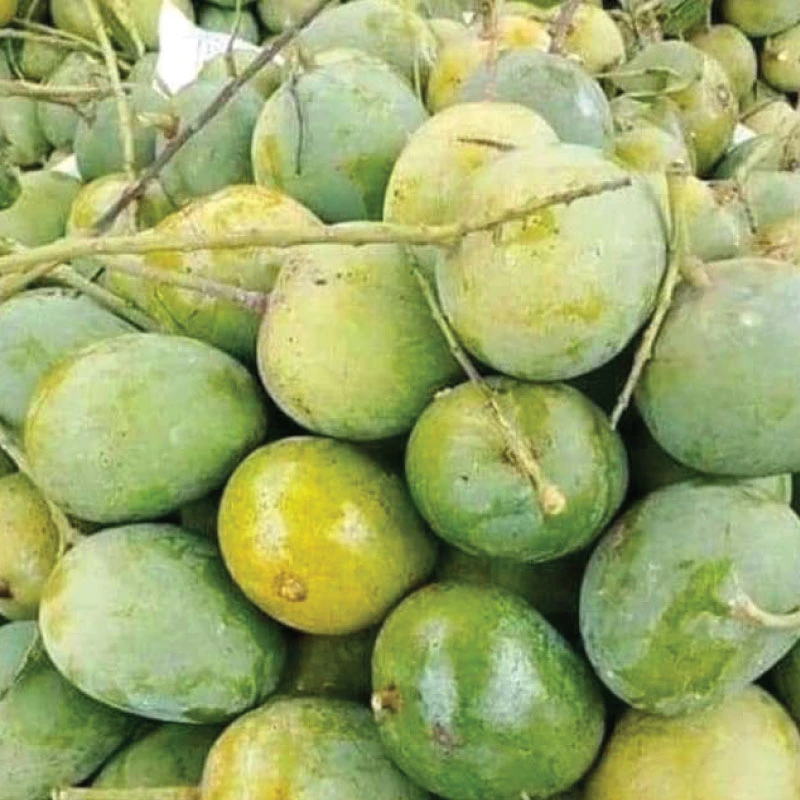 হিমসাগর আম