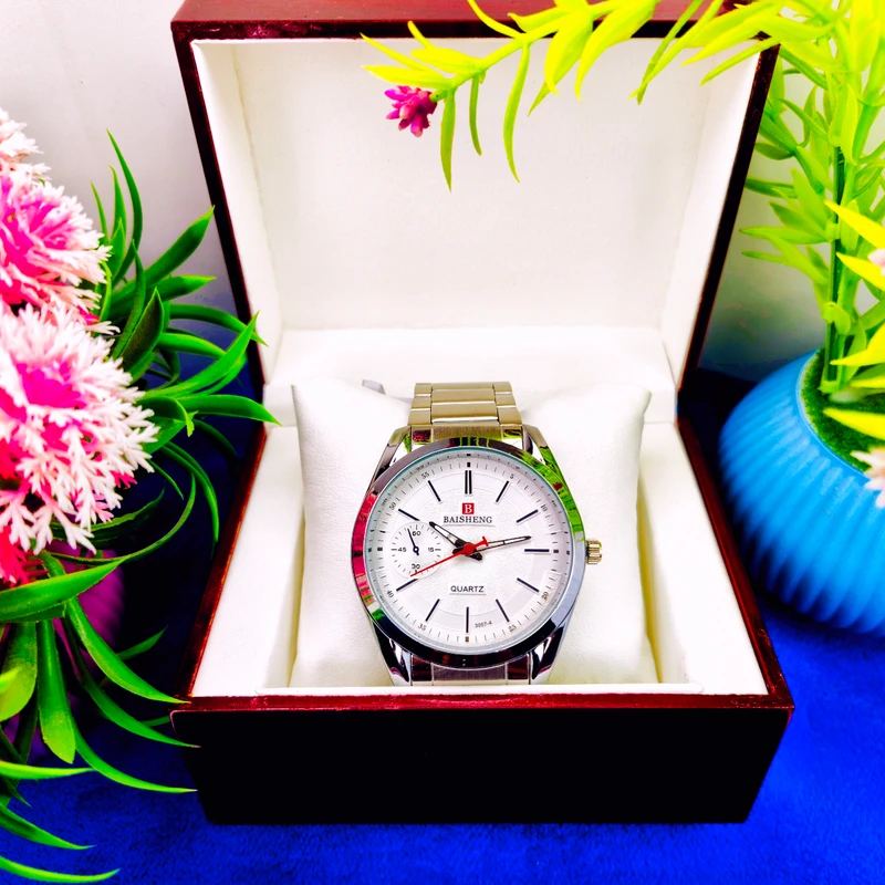 Baishen Classic Watch