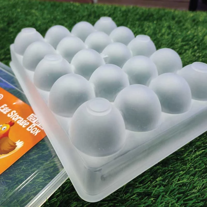 20 Grid Egg Box - Image 3