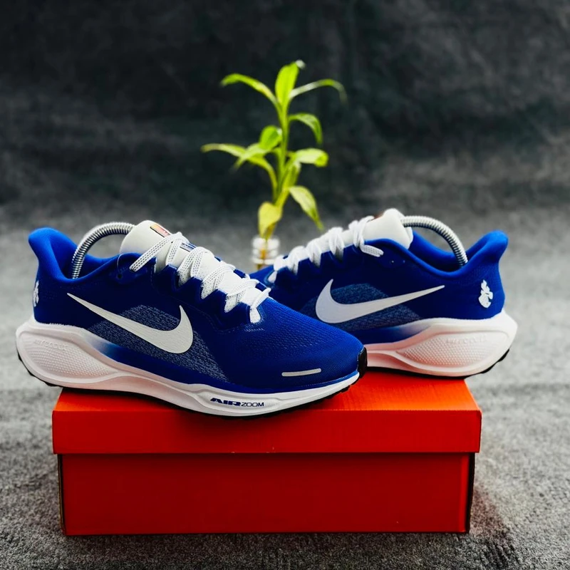 Nike Pegasus 41 Men's Road Running Shoes