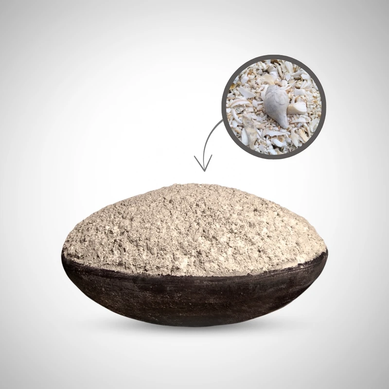 Oyster Shell Powder  ঝিনুক গুড়া 1kg – প্রাকৃতিক ক্যালসিয়াম সার