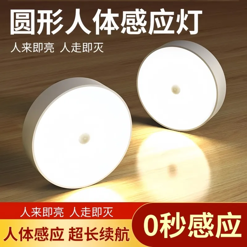 Motion Sensor Light