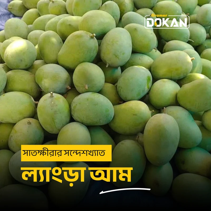 Langra Mango (A-Grade)