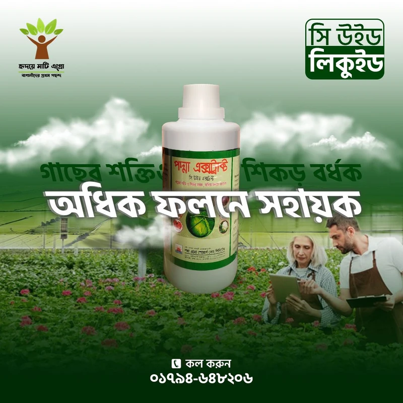 Lorem ipsum dolor sit amet consectetur