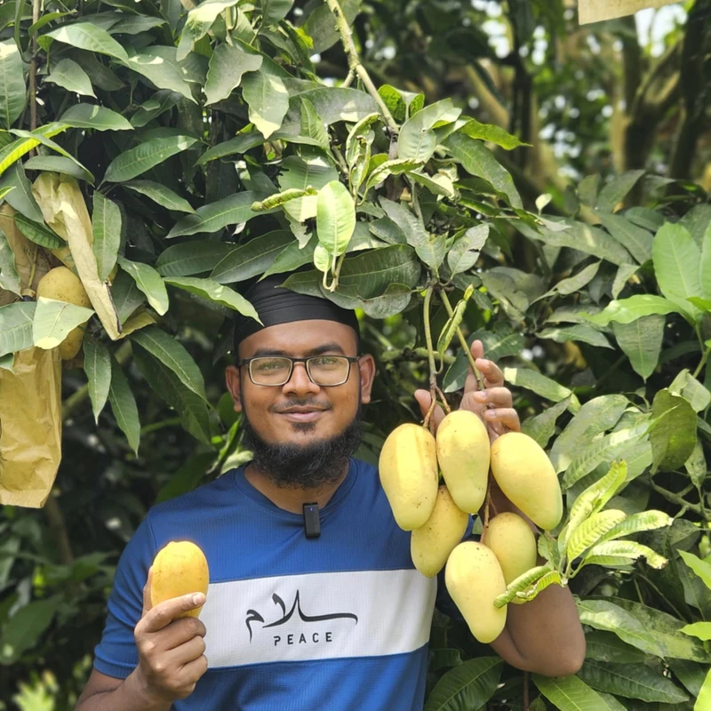 থাই কাটিমন আম   10Kg - Image 5