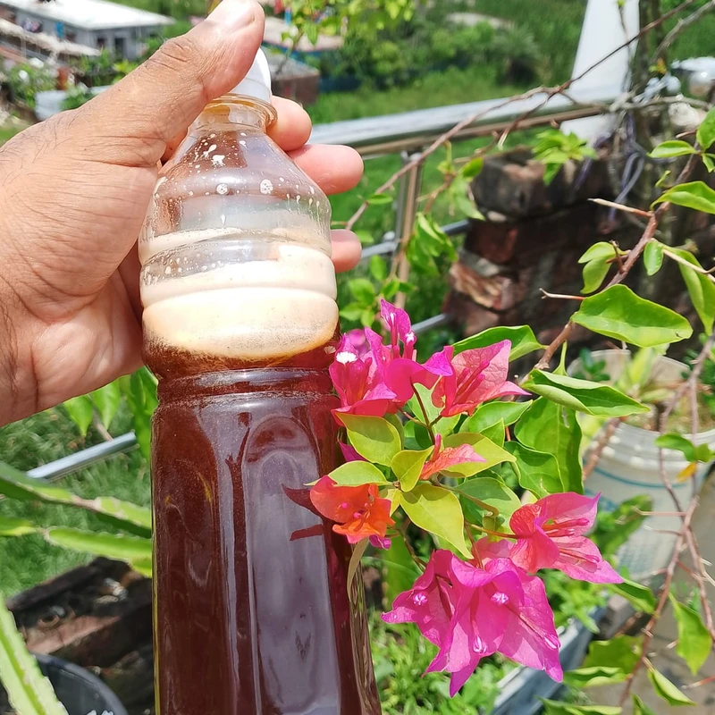 খুদি মাছির মধু