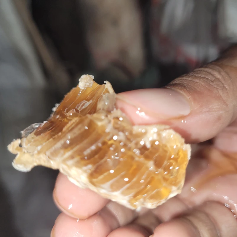 খুদি মাছির মধু - Image 4