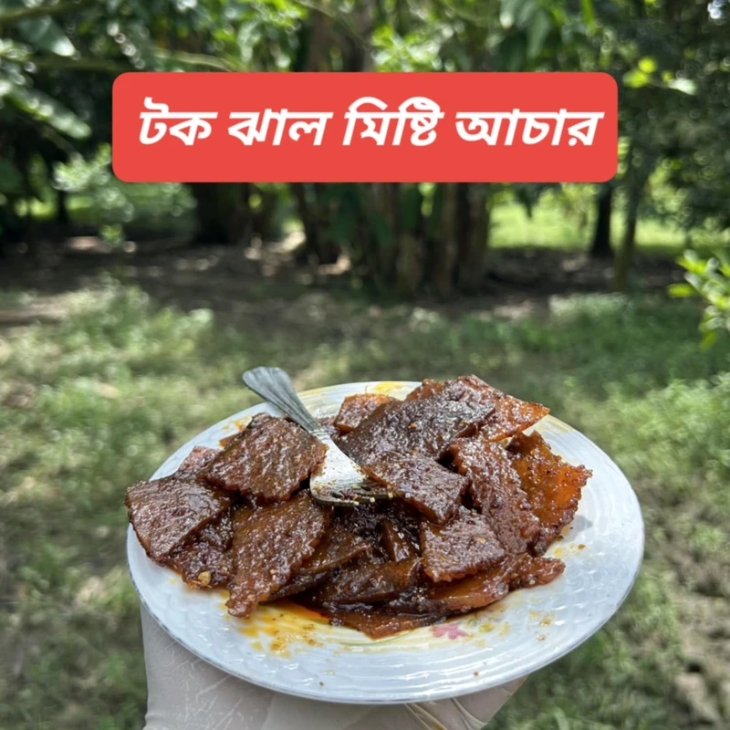 টক ঝাল মিষ্টি আমসত্বের আচার
