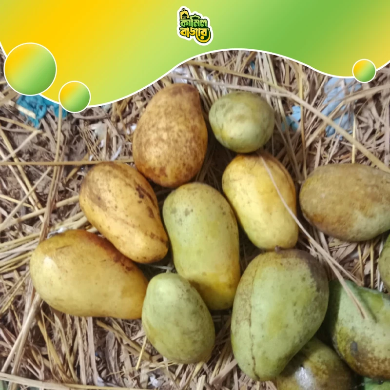 Thai Katimon Mango 20 Kg - Image 8