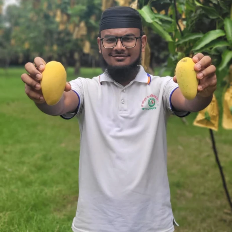 সুইট কাটিমন আম 6 Kg - Image 6