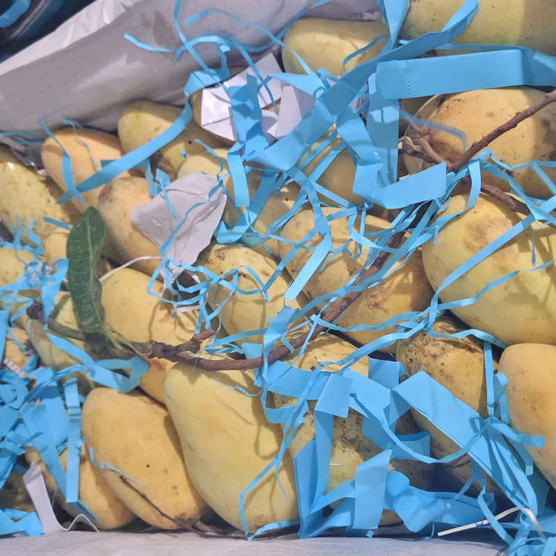 Thai Katimon Mango 20 Kg - Image 5