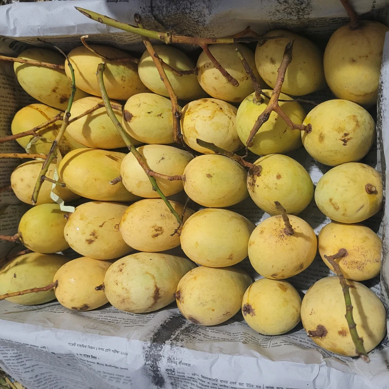 সুইট কাটিমন আম  12Kg - Image 6