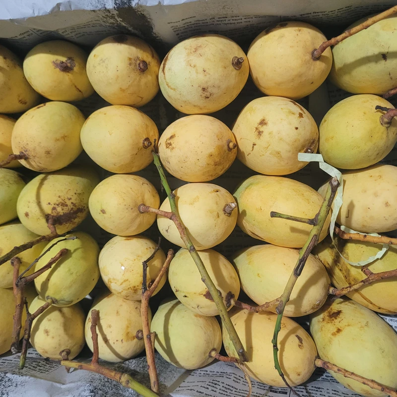 সুইট কাটিমন আম  12Kg - Image 3