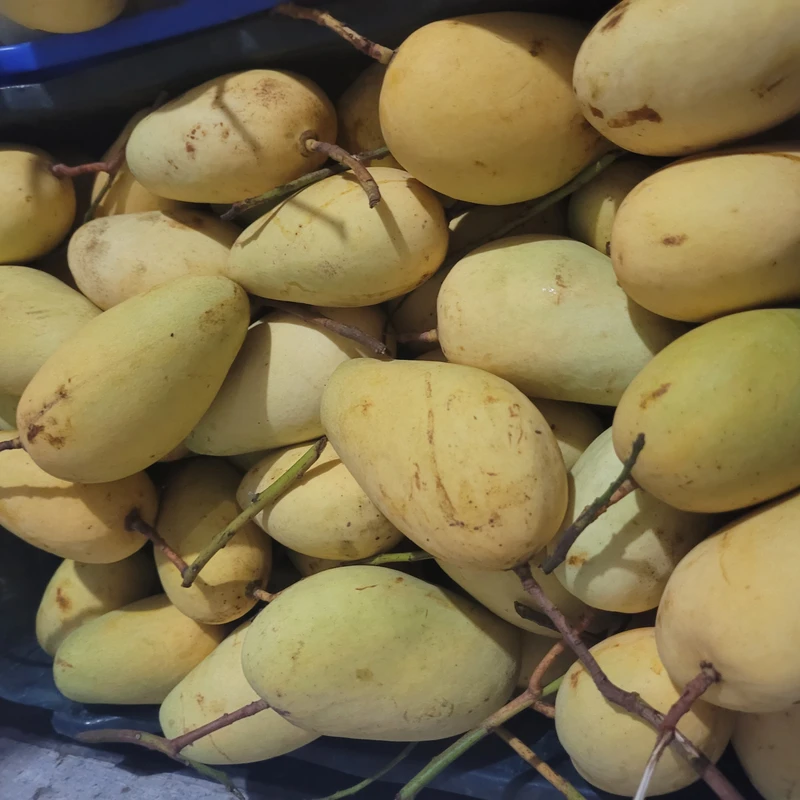 সুইট কাটিমন আম  12Kg - Image 4