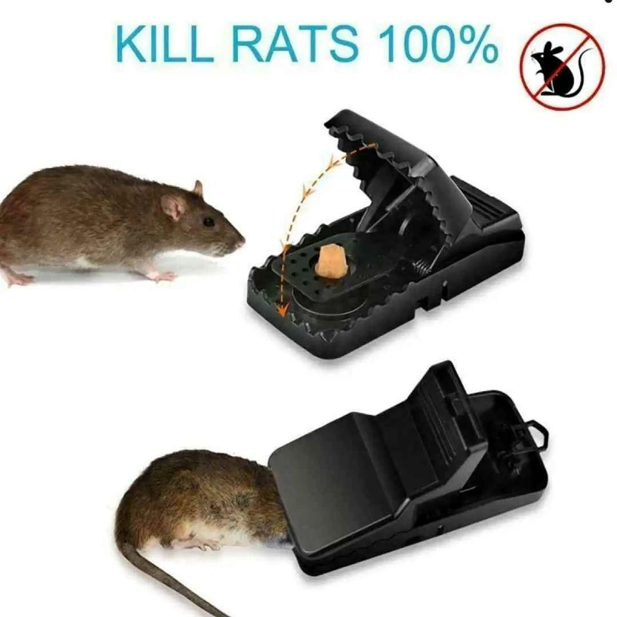 Super Powerful Mouse Trap - Thumbnail 8
