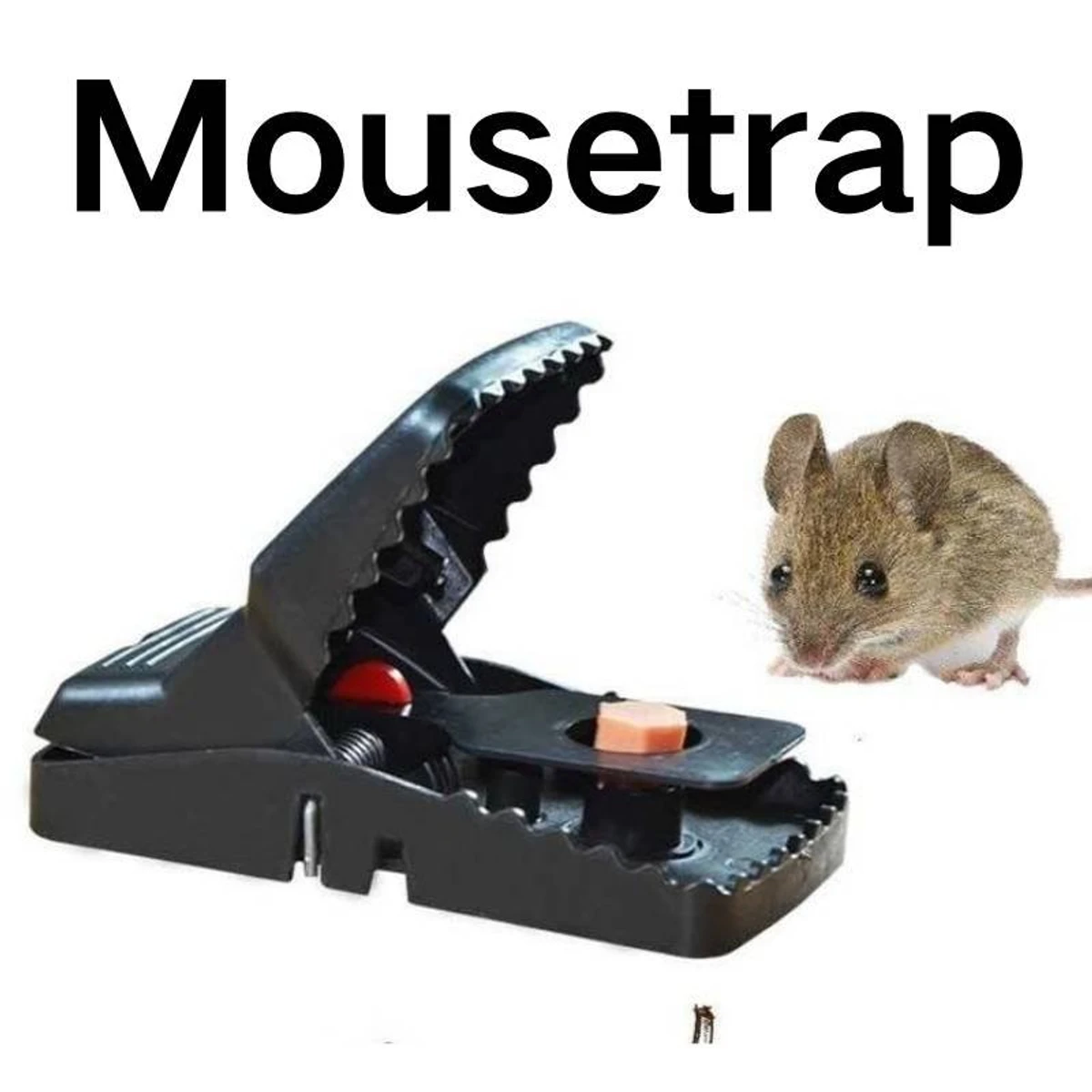 Super Powerful Mouse Trap - Thumbnail 4
