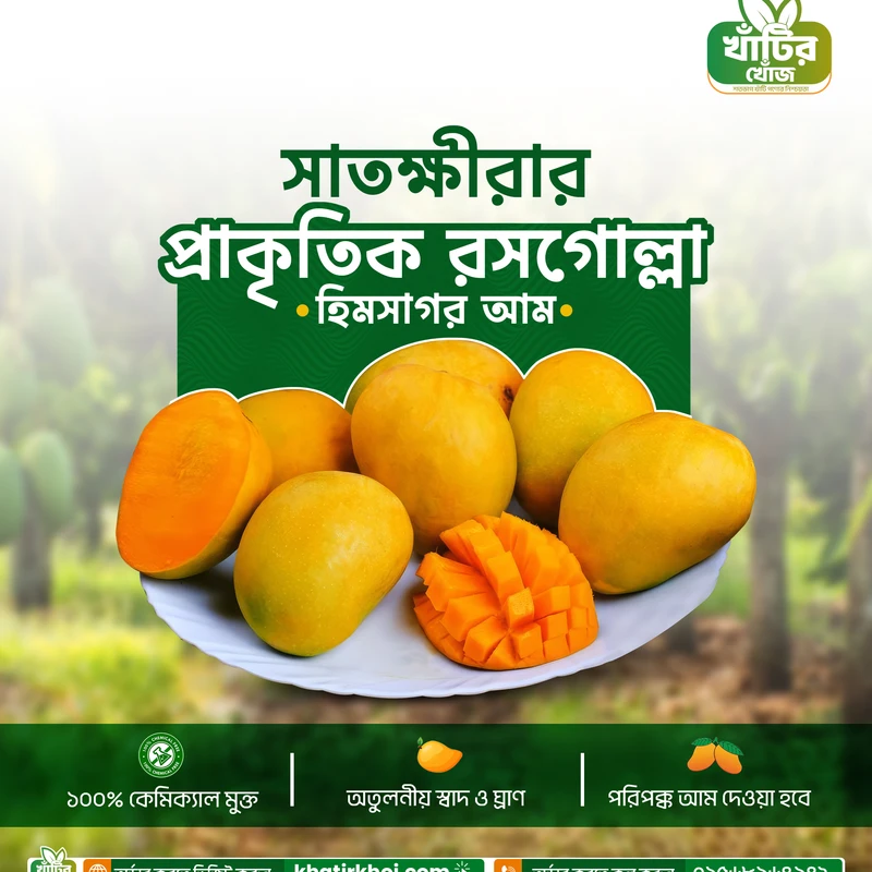 Shatkhira Himsagor Mango / সাতক্ষীরার হিমসাগর আম