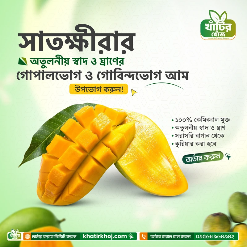 Shatkhira Gopalbhog Mango / সাতক্ষীরার গোপালভোগ আম