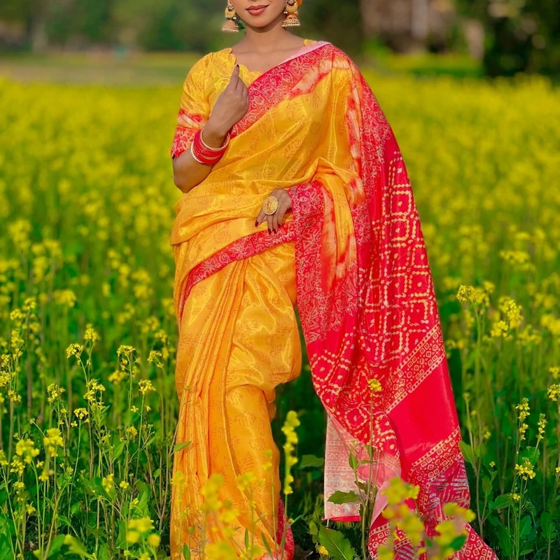 Dizital Print saree Dp-003