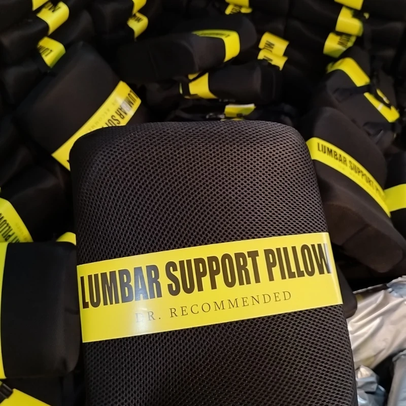DR. Recommended Lumbar Support Pillow