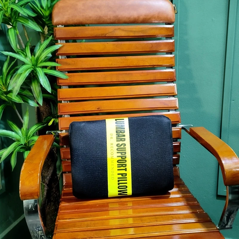 DR. Recommended Lumbar Support Pillow