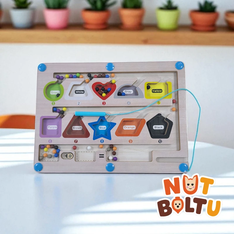 Shape Color Classification Maze - Wooden Educational Toy for Kids (3+)