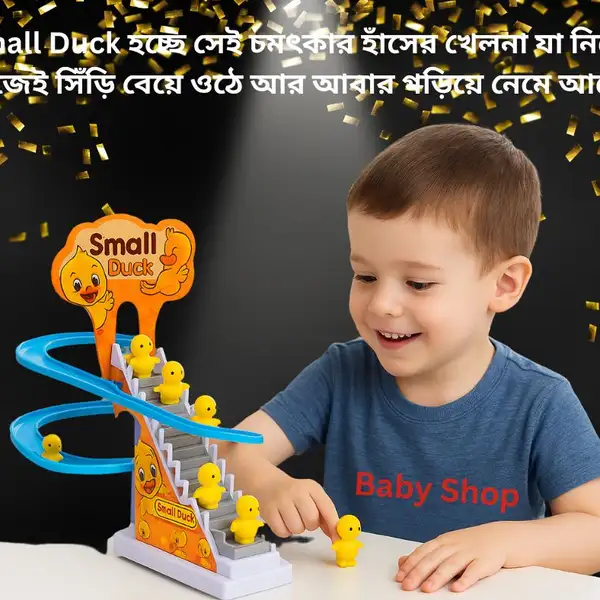 Stair Climbing Small Duck