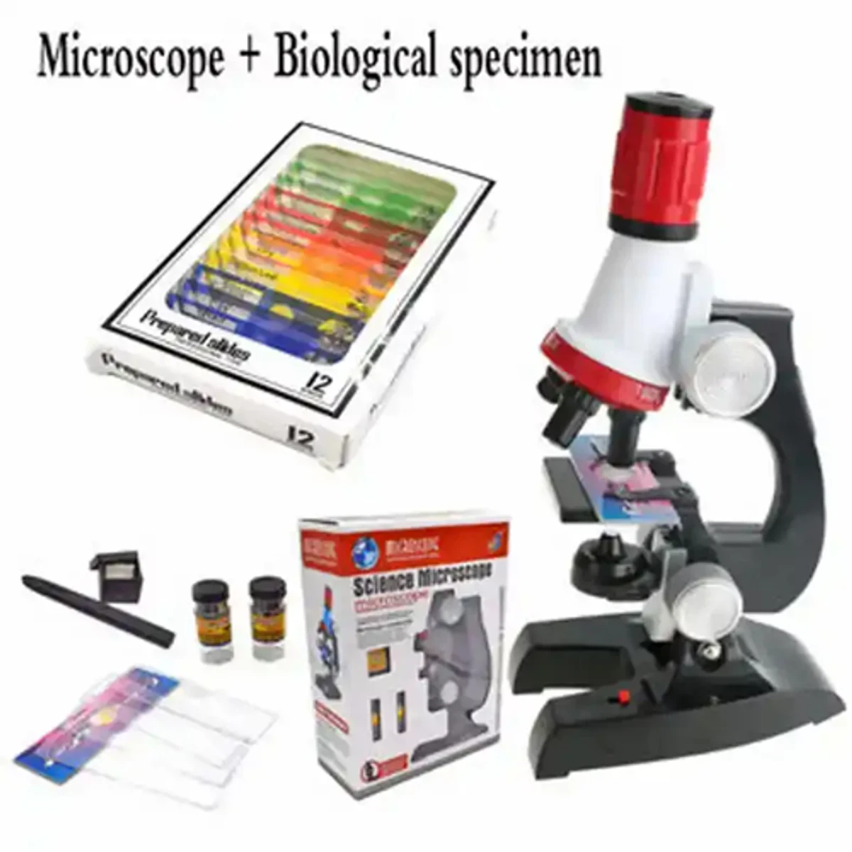 মাইক্রোস্কোপ 1200X - Thumbnail 4