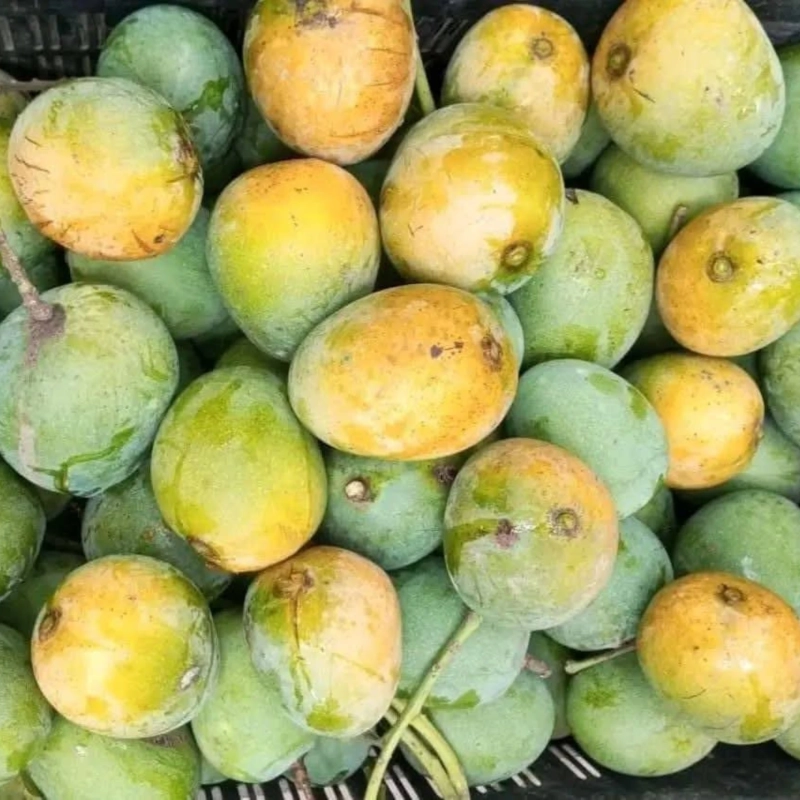 হিম সাগর