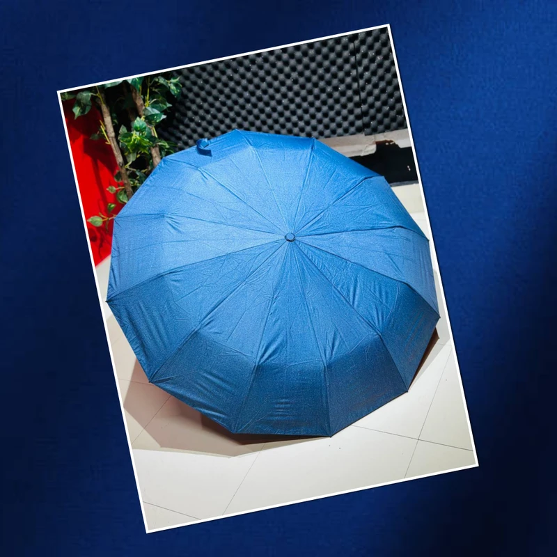 Premium 12-Ribs Automatic Umbrella With Flash Light – Blue