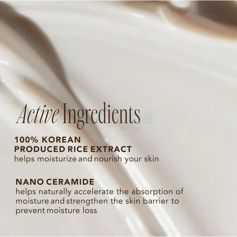 The Face Shop Rice Ceramide Moisture Cream 50ml - Image 3
