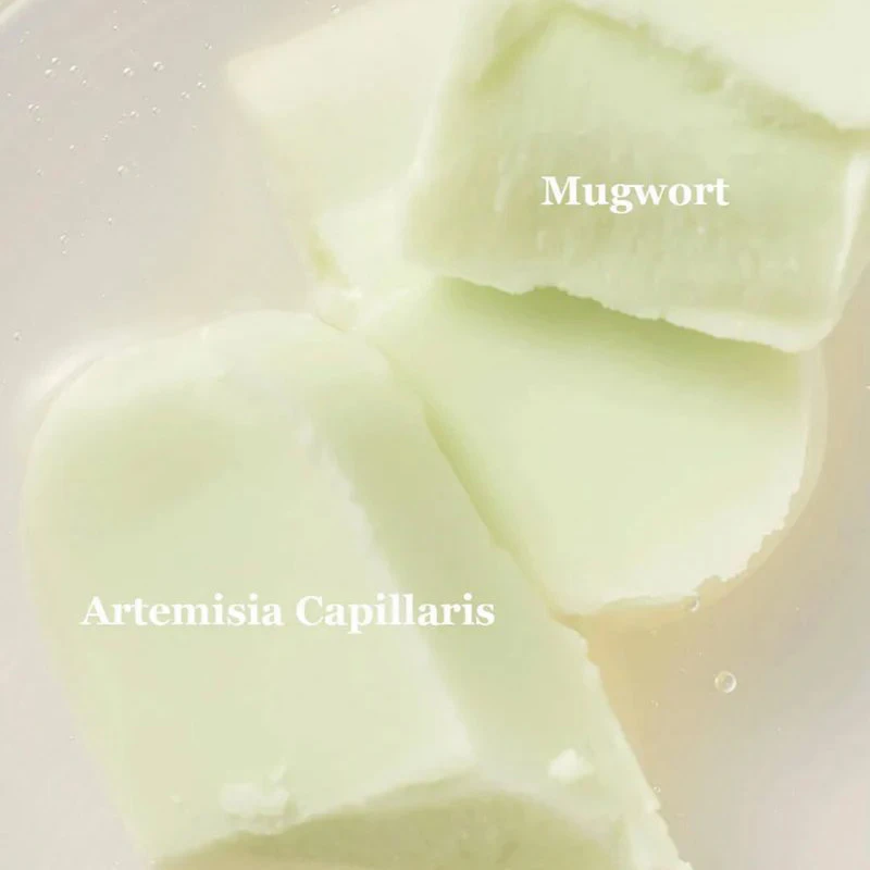 Beauty of Joseon Matte Sun Stick : Mugwort + Camelia SPF 50+ PA++++ - Image 8